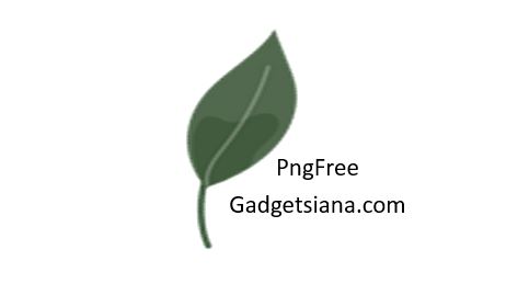 Sehelai Daun PNG GAMBAR PNG FREE